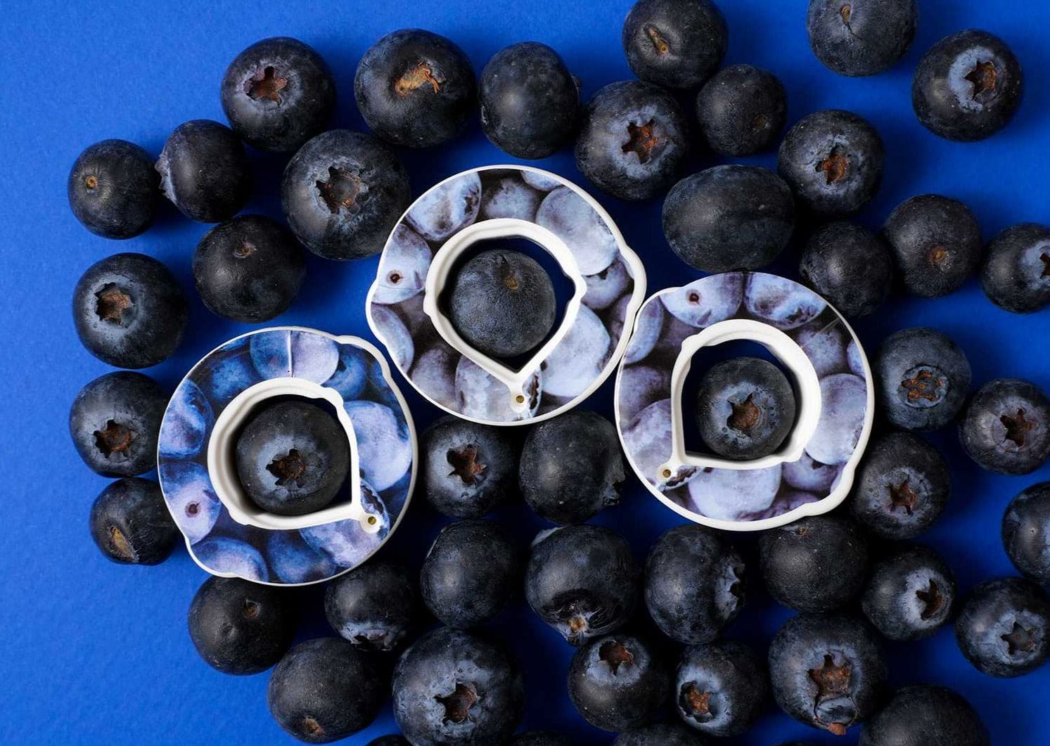 Blueberry pods